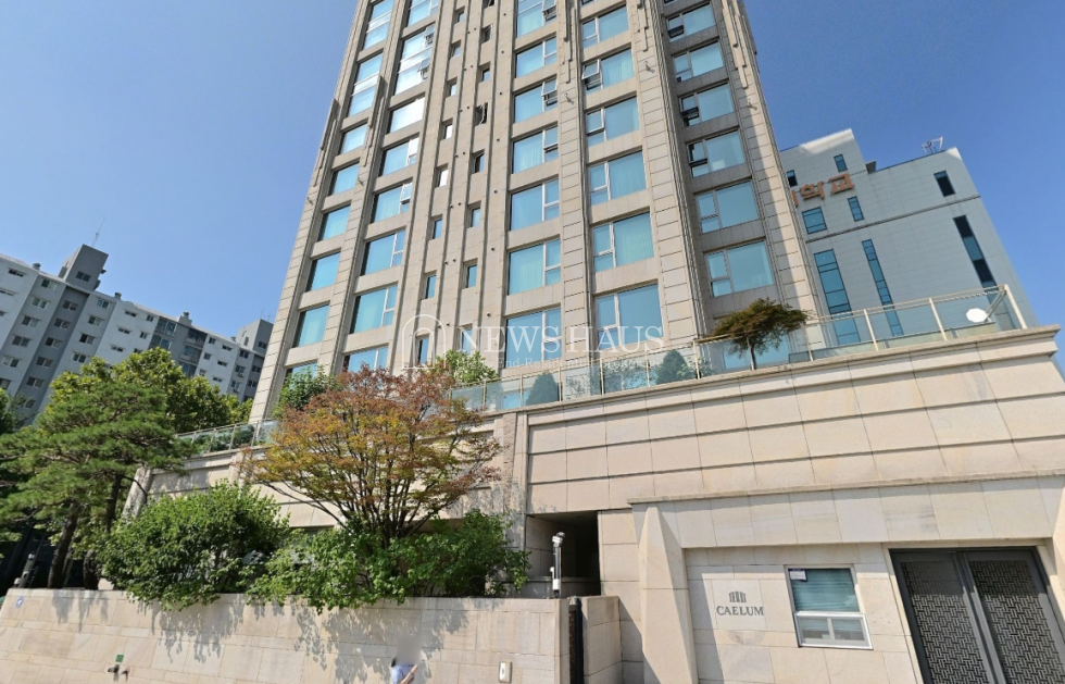 서울 강남구 대치동 대치상지리츠빌 카일룸 로얄층 유수지 공원 매매 매물번호 10060 사진 1
